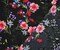 Black-Red-Multi Cotton Floral Printed Gauze Woven Fabric By the Yard